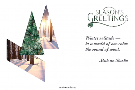 christmas card_trees_300pp