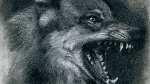 maite-sanchez-painting-draw_wolve