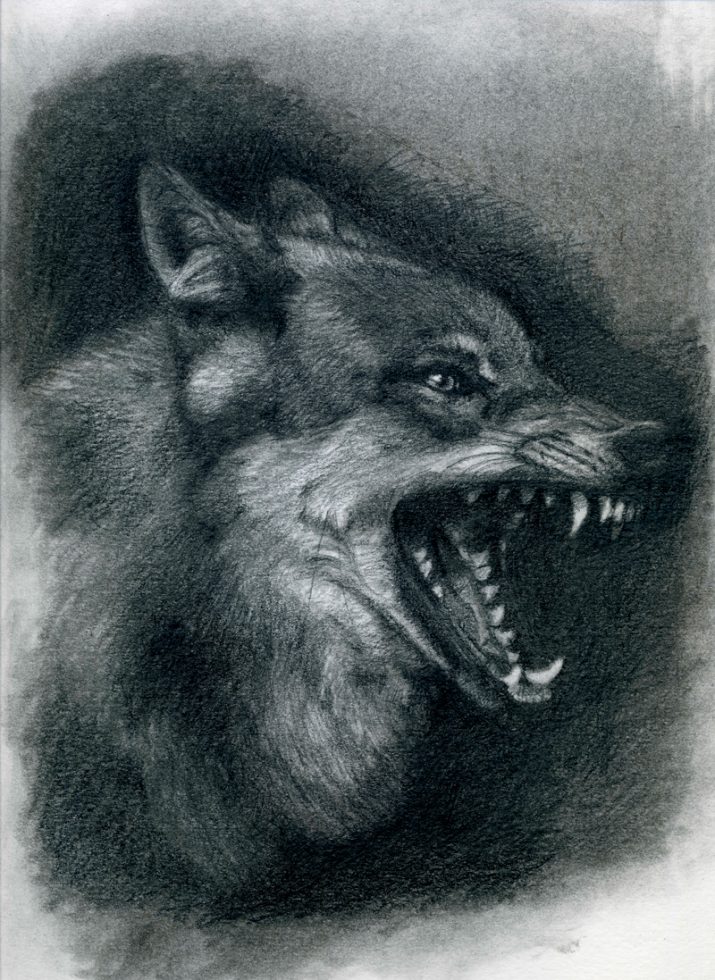 maite sanchez painting draw wolve