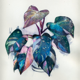 maite_sanchez_21 (1)