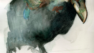 maite_sanchez_acuarela_cuervo_2021