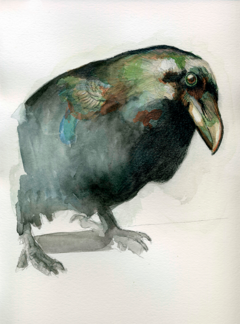 maite_sanchez_acuarela_cuervo_2021