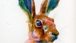 maite_sanchez_liebre_2023-(1)