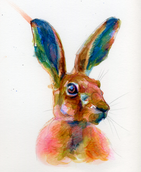 maite_sanchez_liebre_2023-(1)