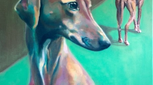 2025_08_maite_sanchez_study_greyhound