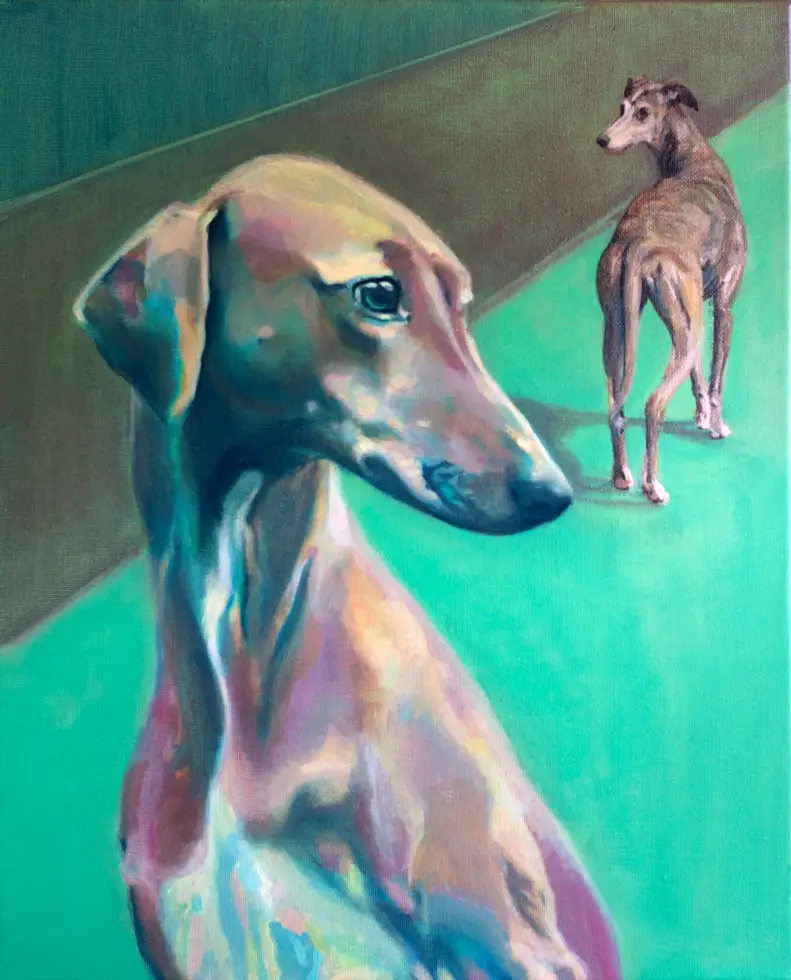 2025 08 maite sanchez study greyhound